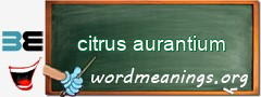 WordMeaning blackboard for citrus aurantium